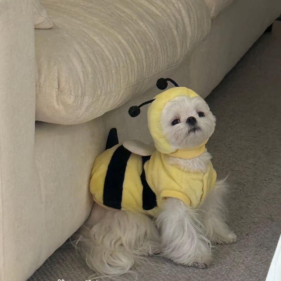 Ttttt