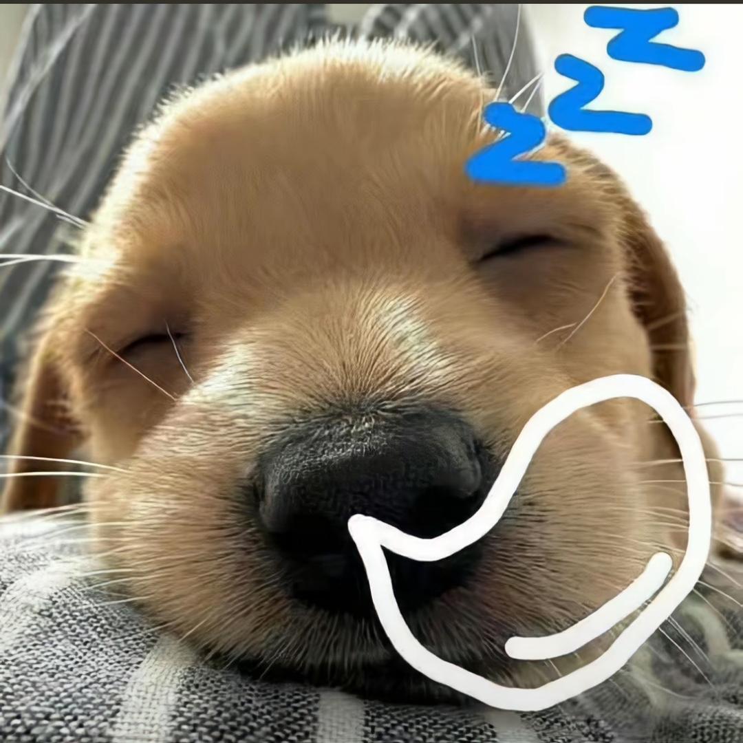 鑫鑫控