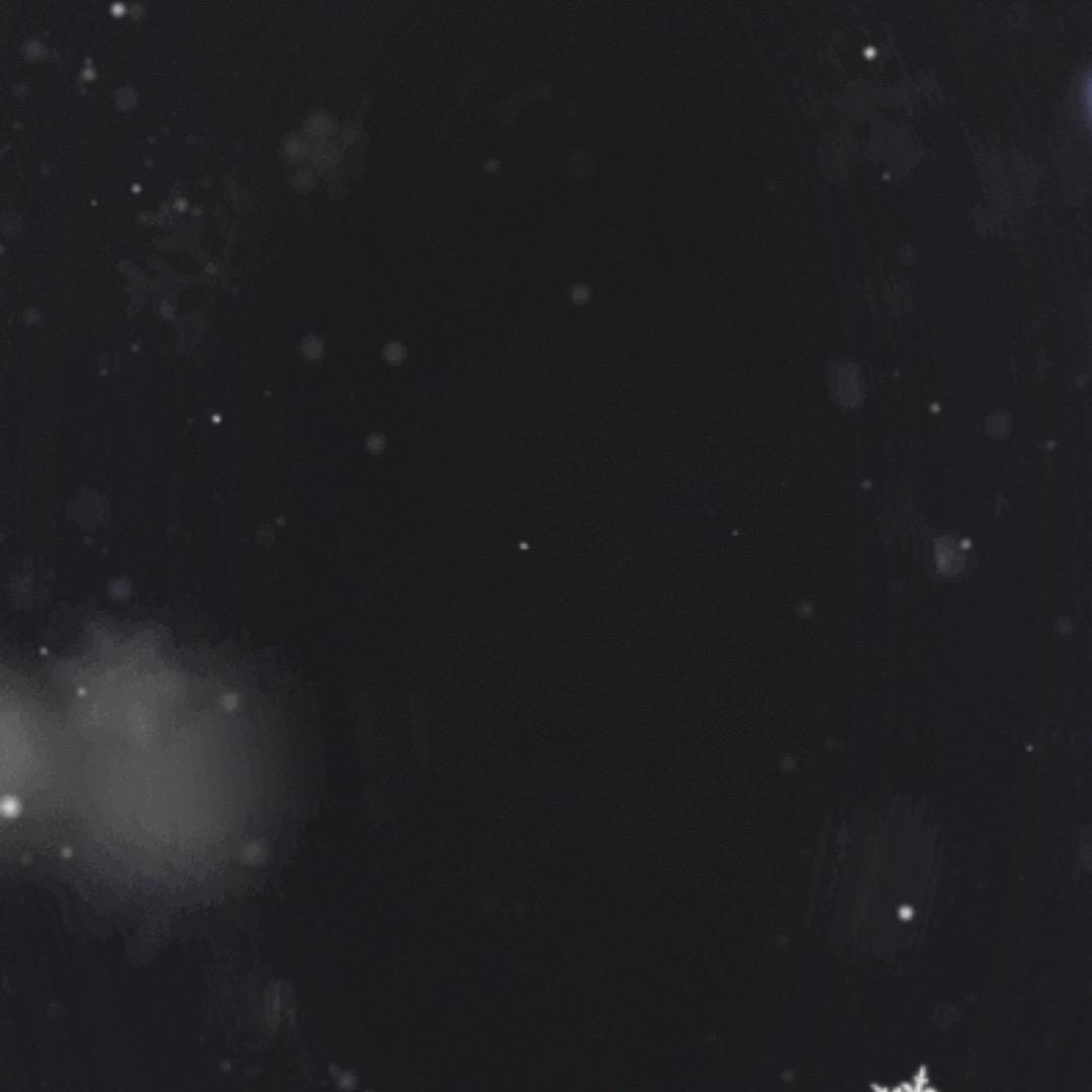 👊👊👊   妻咔白🖐🏻