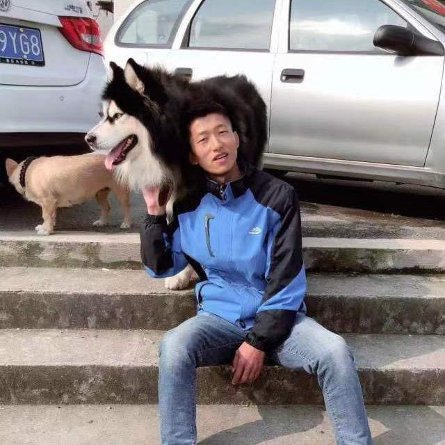 嘟嘟宠物