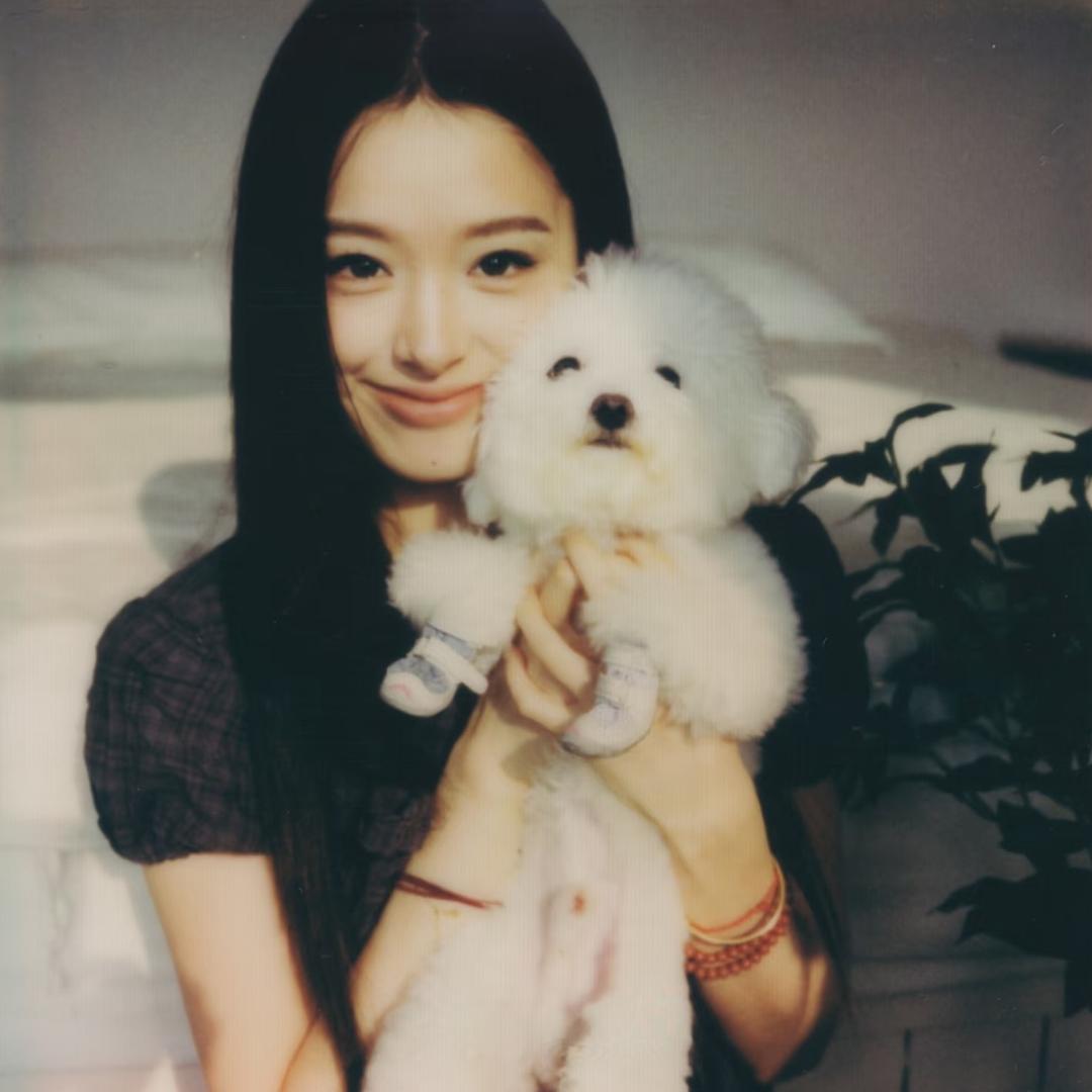 nini（被瘦子回过评论版）