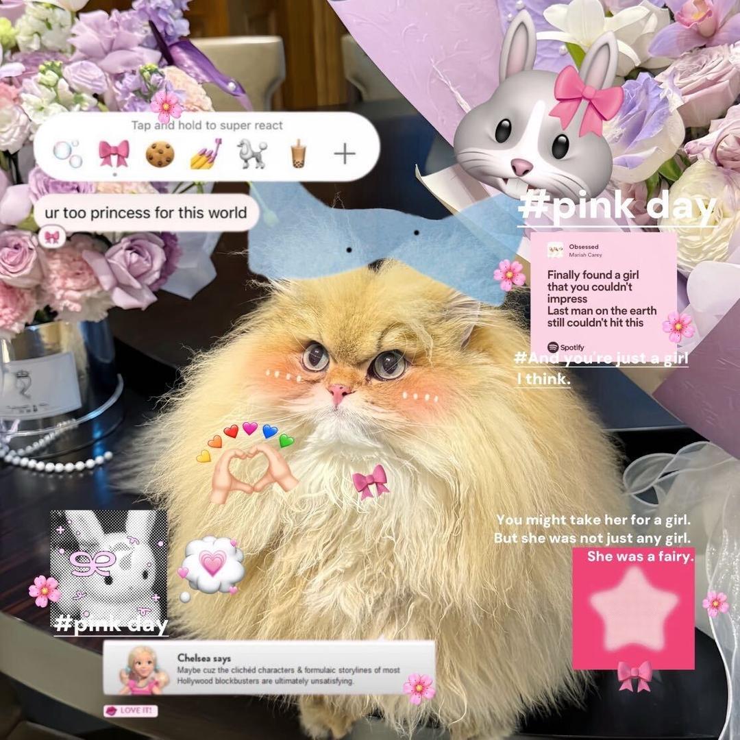 美味猫猫堡