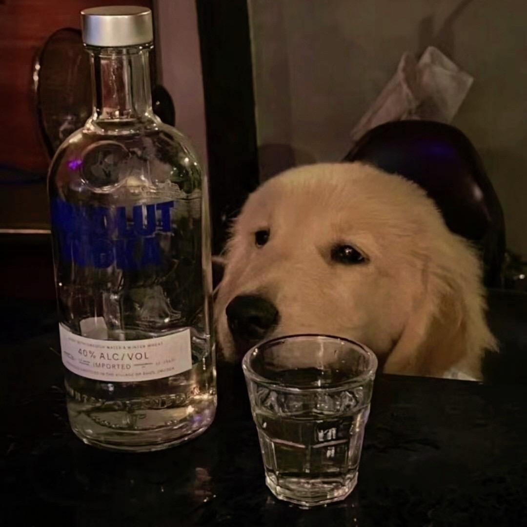 真的别把我再当日本人了