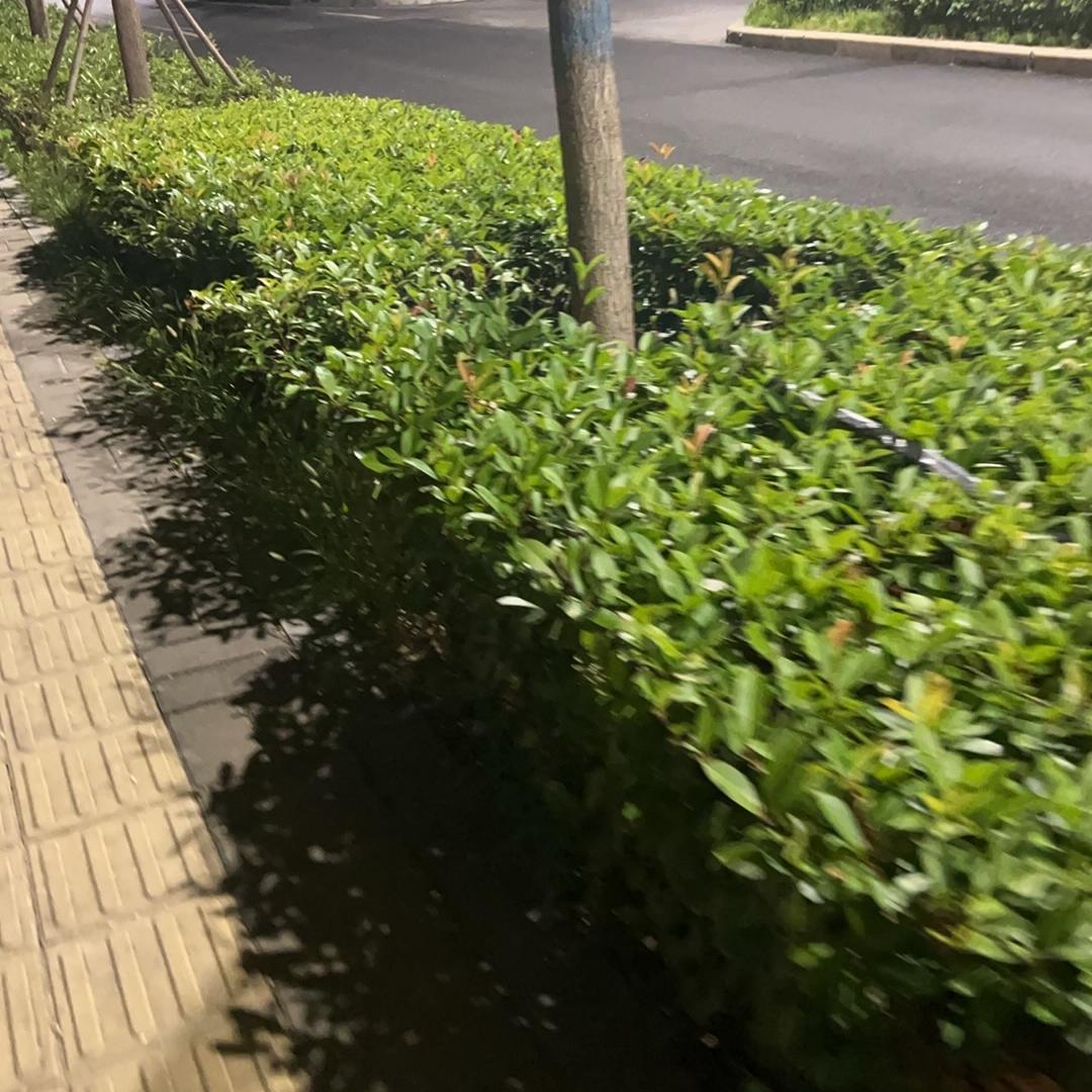 @！-晓佳 殿惑百货店