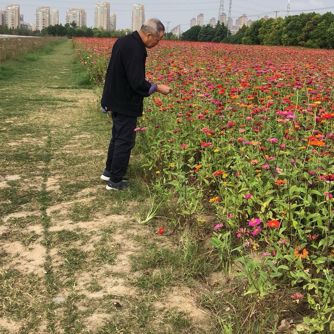 蜗牛短剧