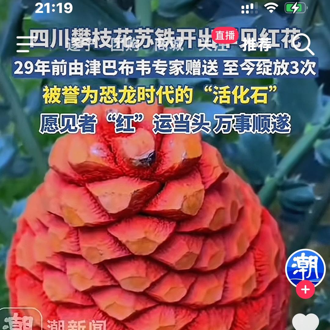 杰哥哥⁷⁶⁶⁶·居士