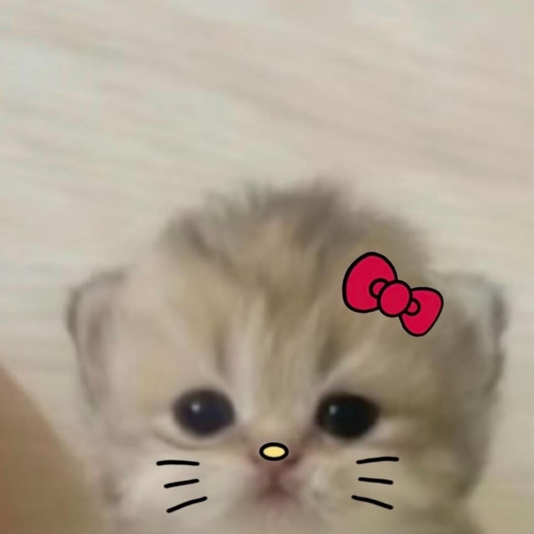 生煎包
