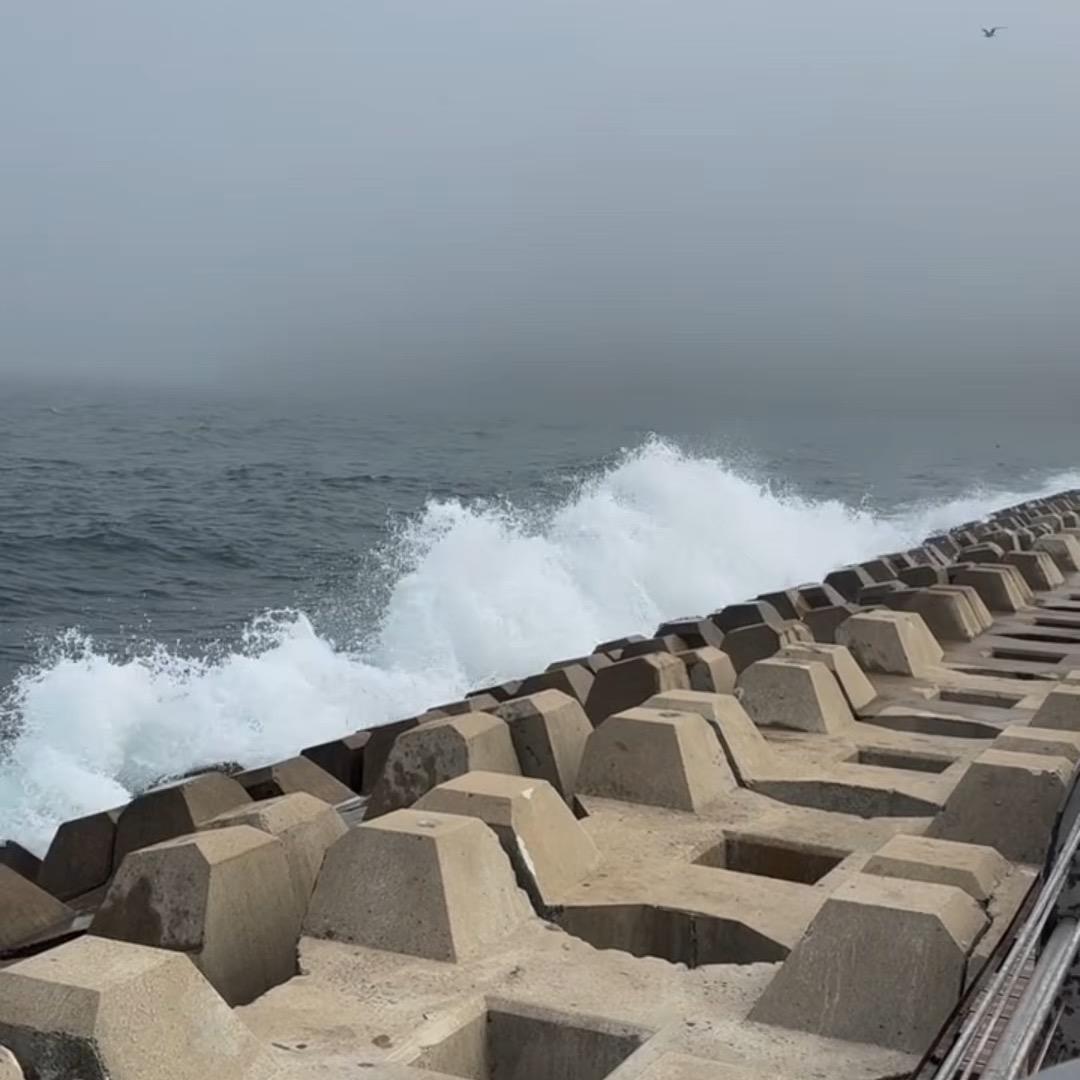 易虎说车