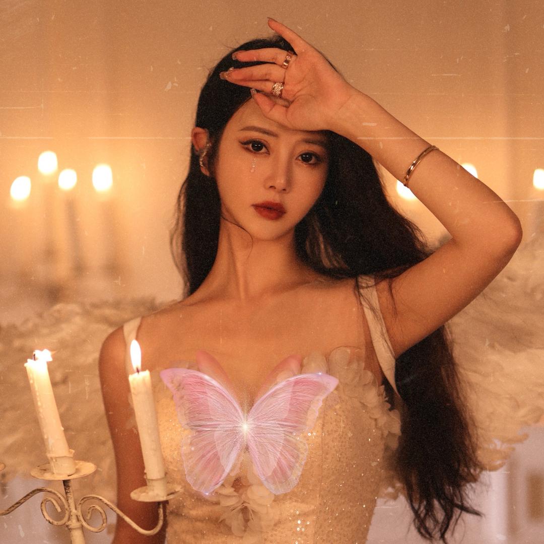 🫧⚜️赵晨曦🫧