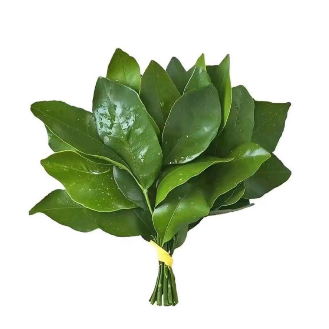 朱憨憨🦋