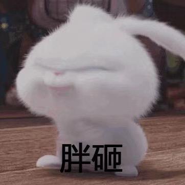 呔～虎杯！！！🐯