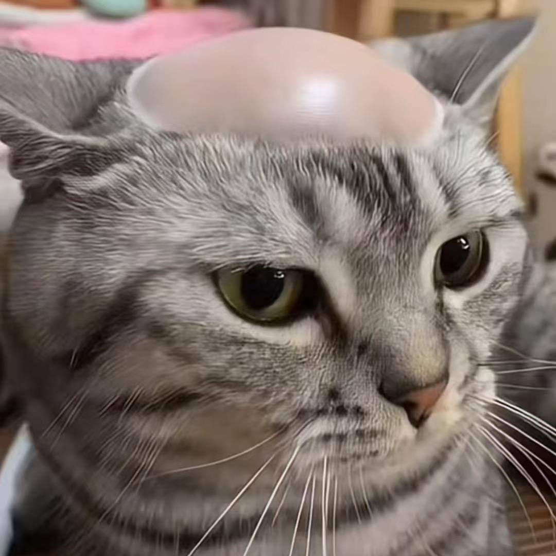 疯狂李拜四