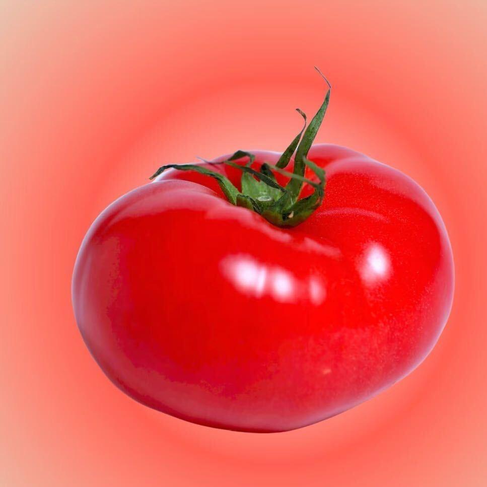 💎生话号💎❗️