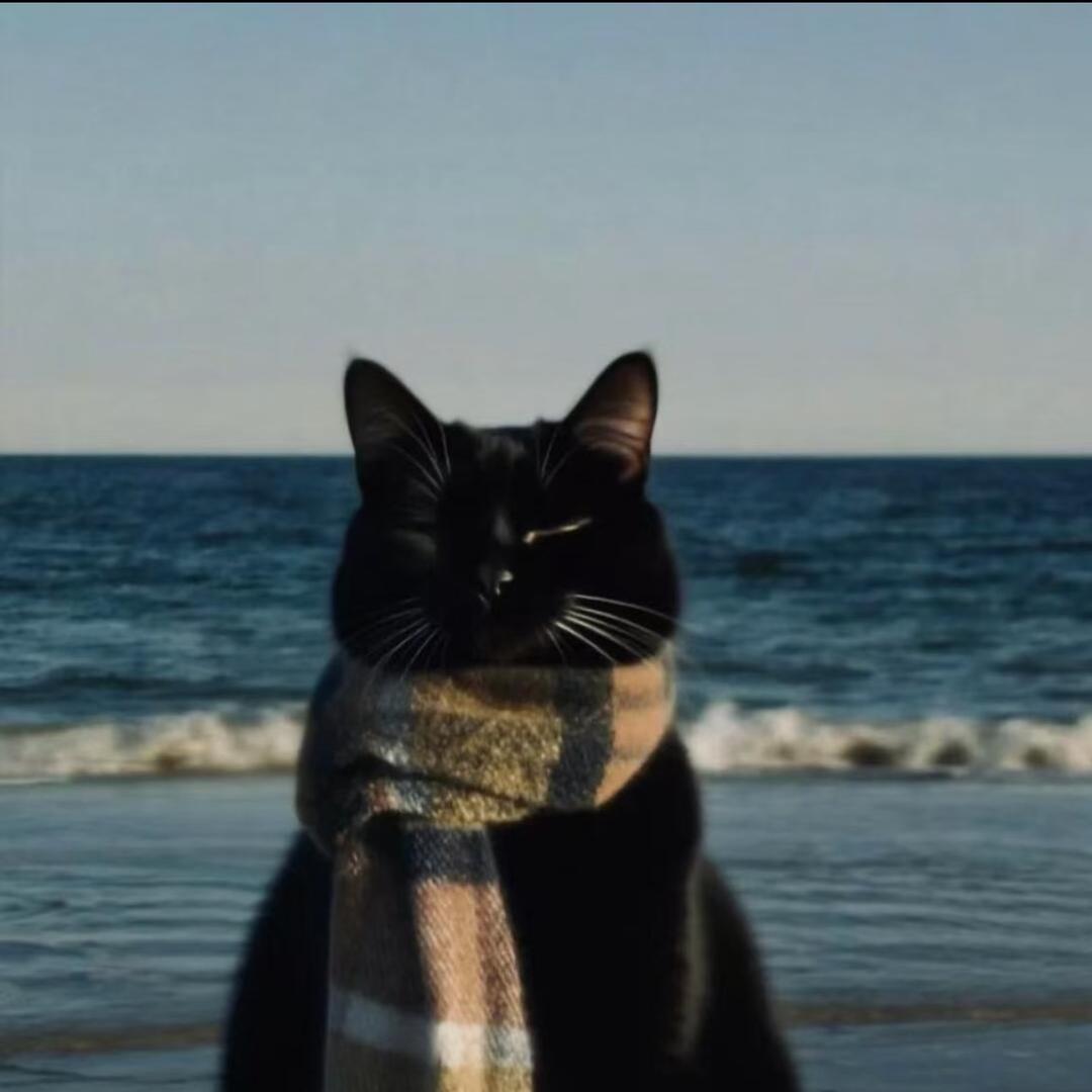 那你狡辩我听听