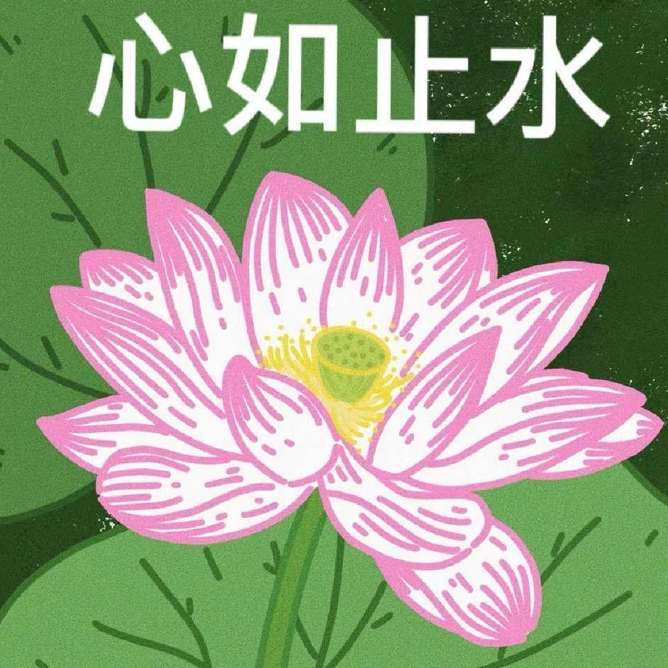 山茶花开在年糕里