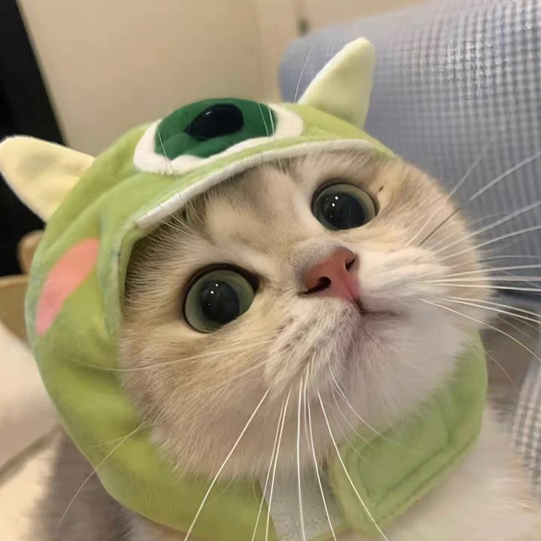 萌宠精选
