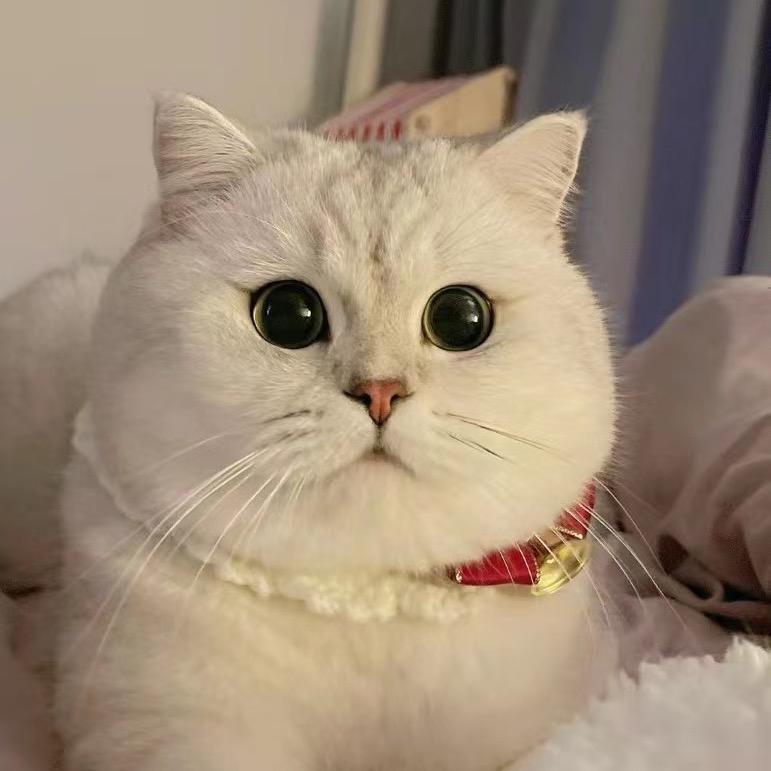 语少哟☃️