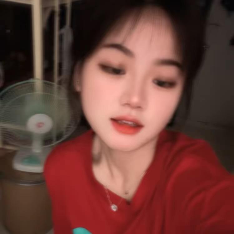 巴黎在逃圣母