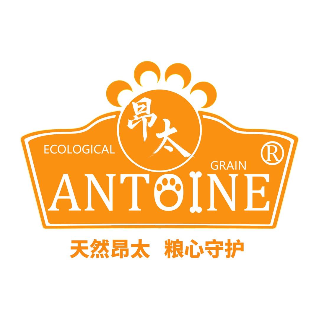 大傲