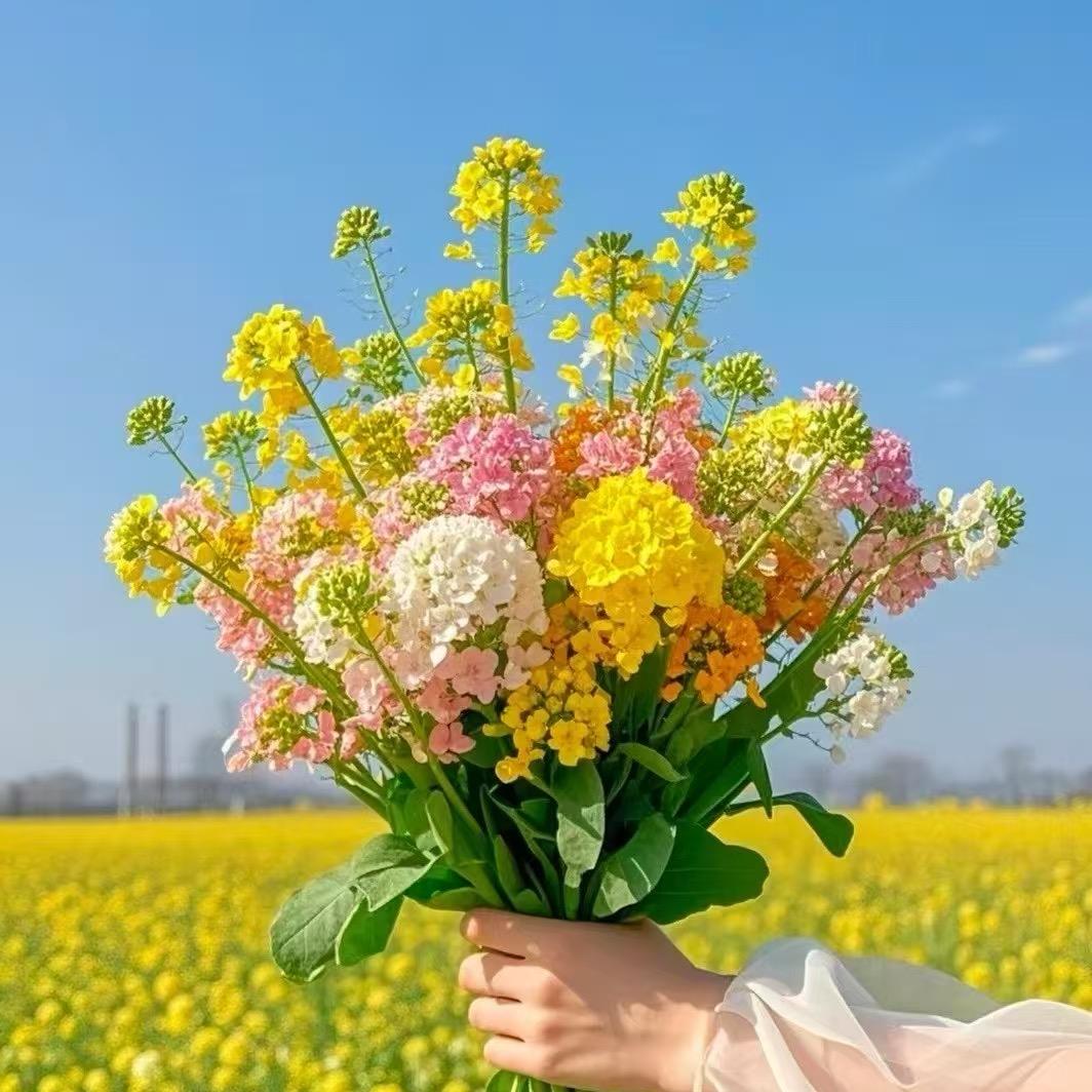 💕静守其心💞
