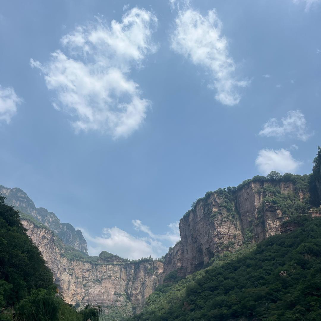 和茂飞