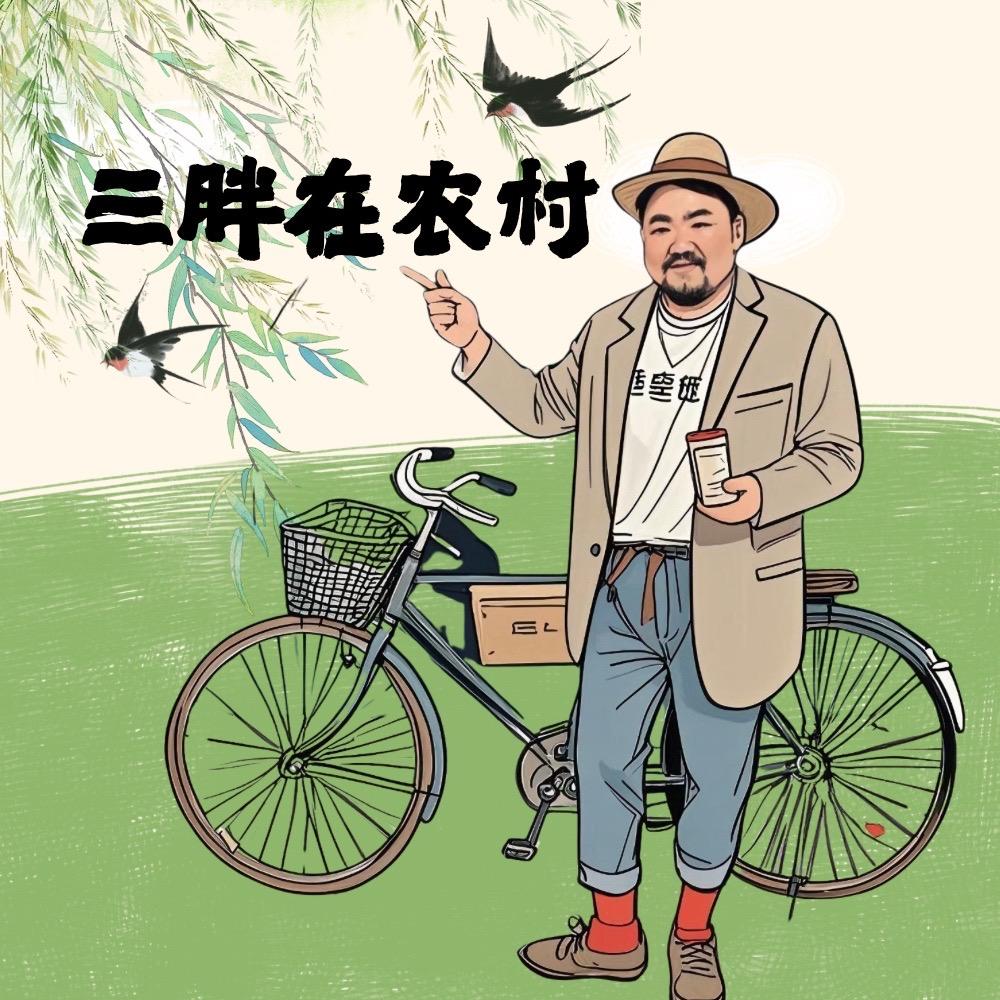 三胖在农村3