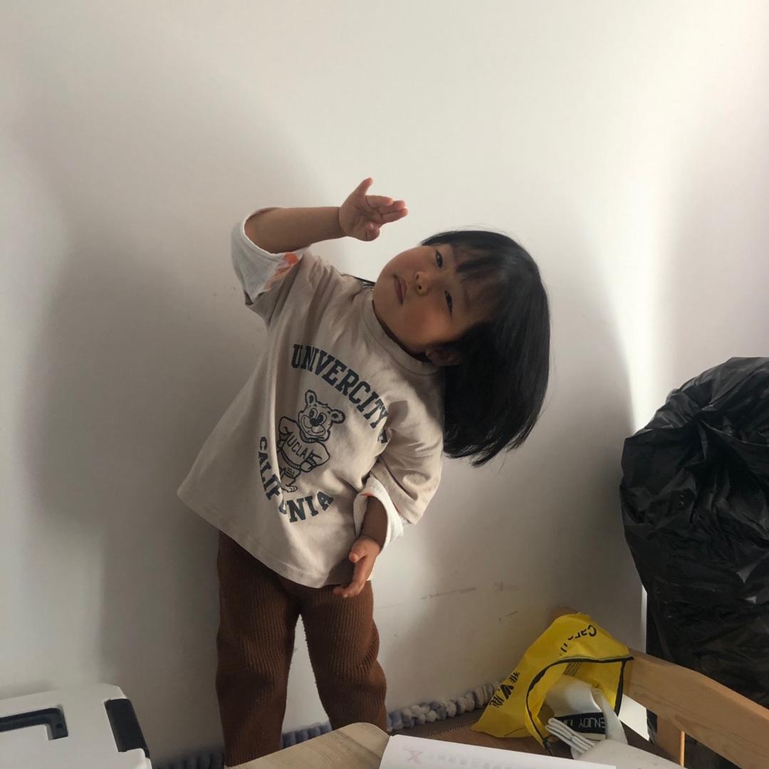 诗白猫宅