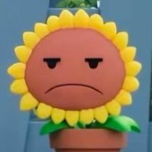 羊球