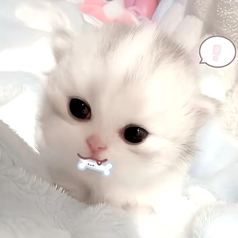 馨儿