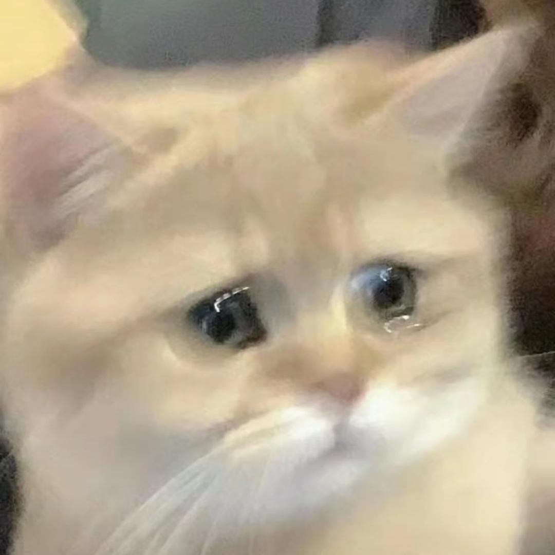 稚屿