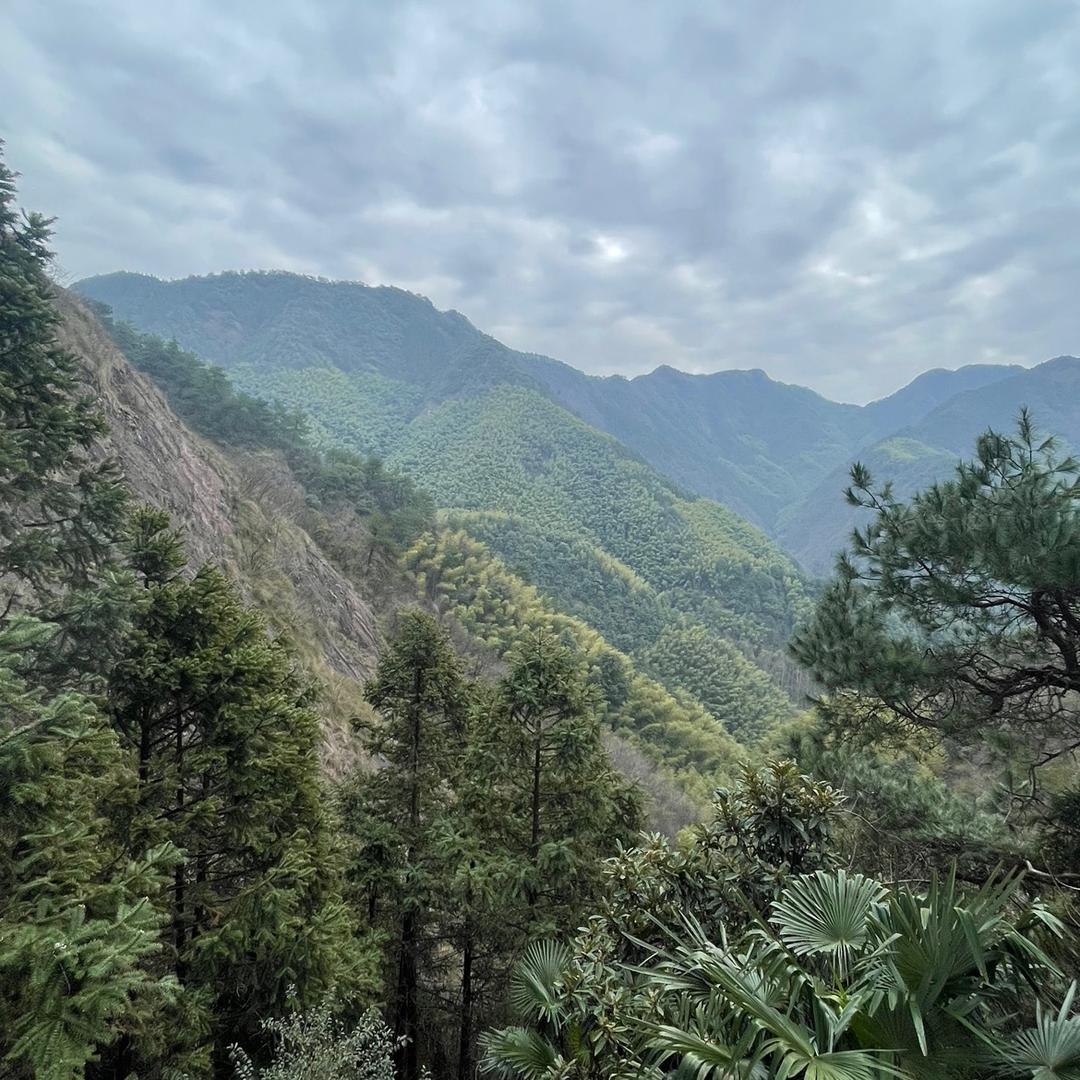 小丁哥