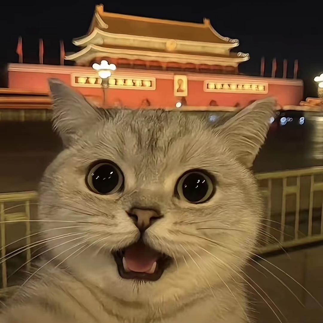 破浪2025