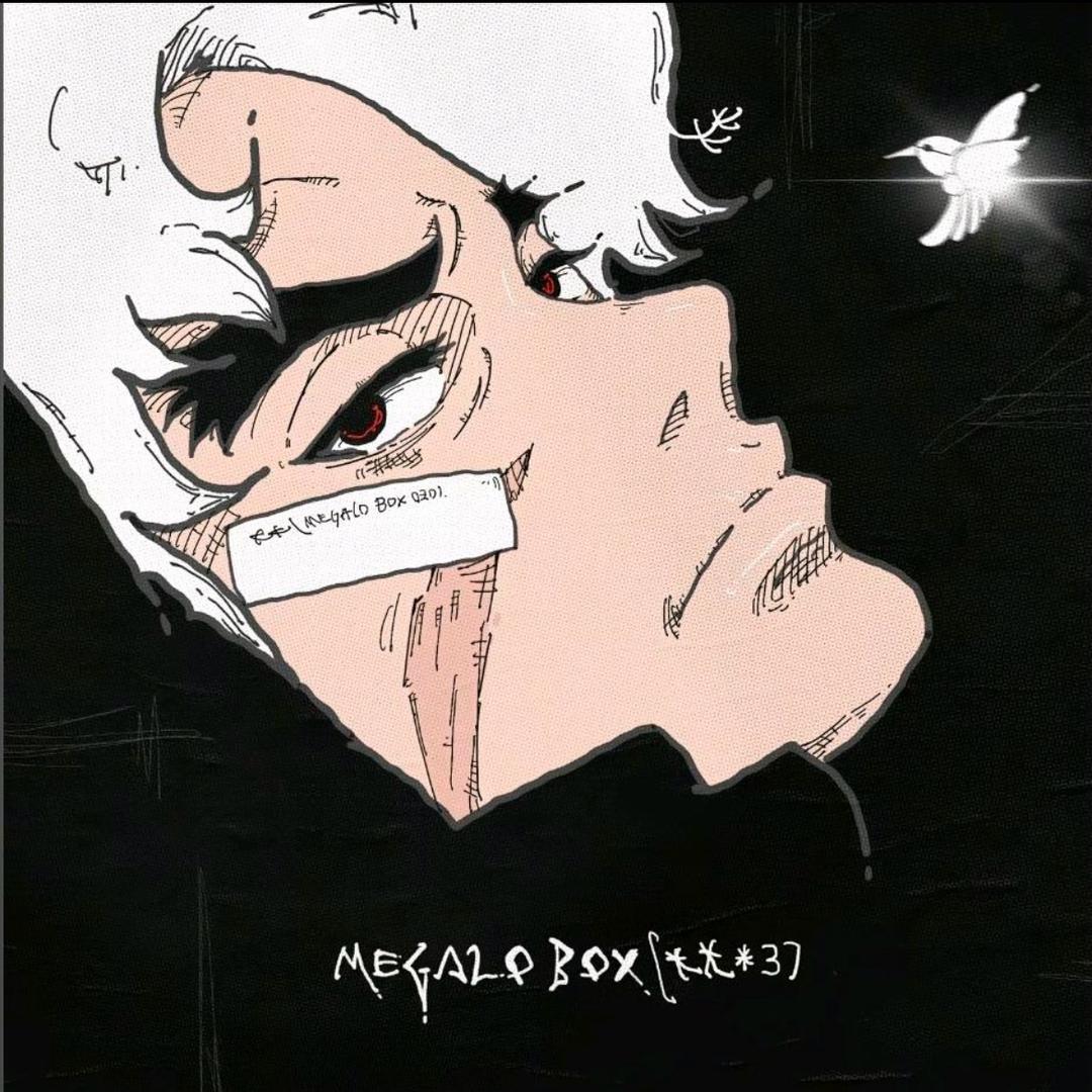 洪较瘦