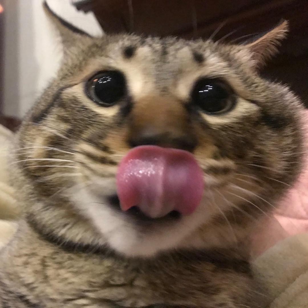 BabyNoMoeny