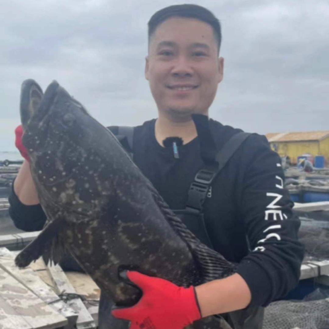 渔家小牛哥石斑鱼