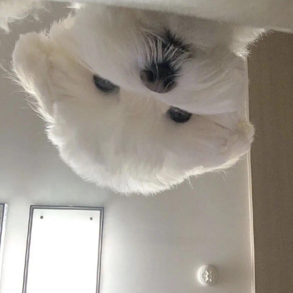景默