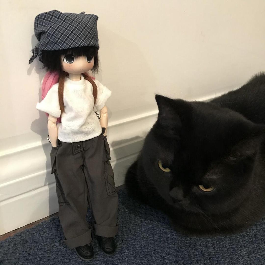 用极品辣条音征服格莱美