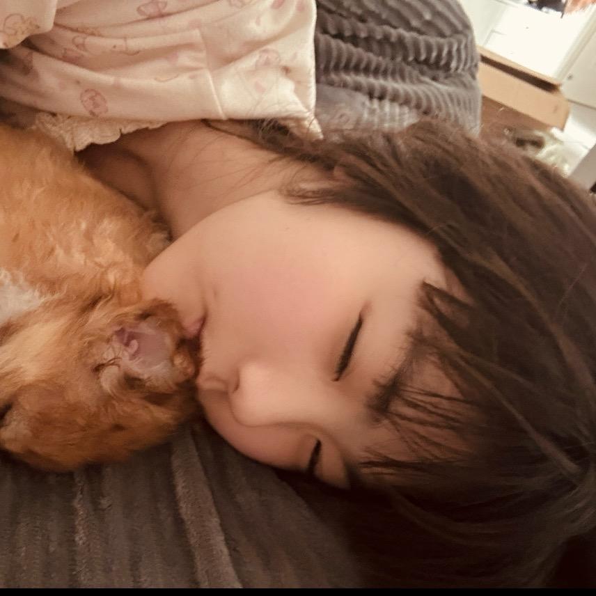 毒液与贝利亚之战💋🐾