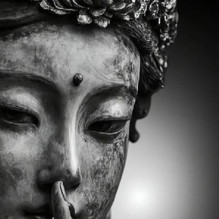 在血海里垂钓🎣