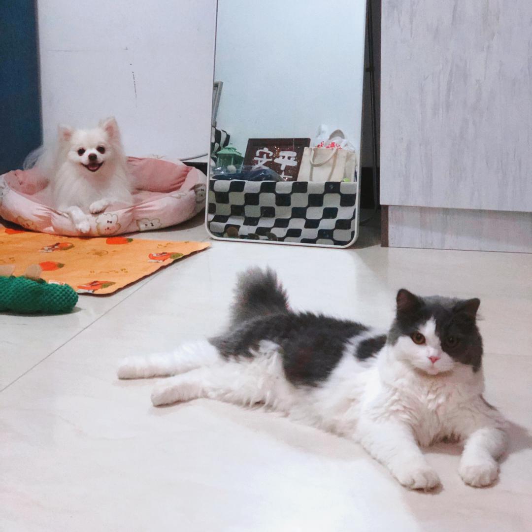 ✨瓜子与花生✨