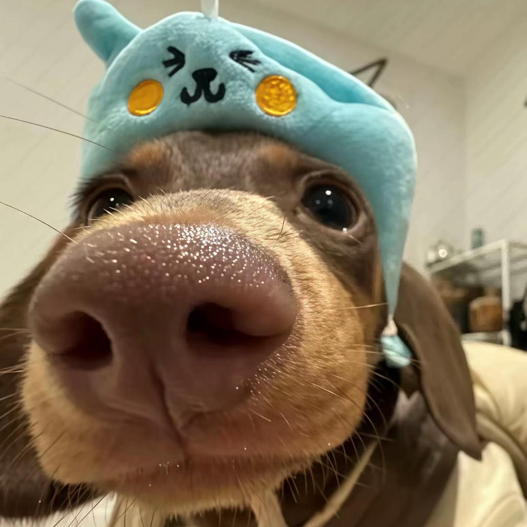 小眼睛