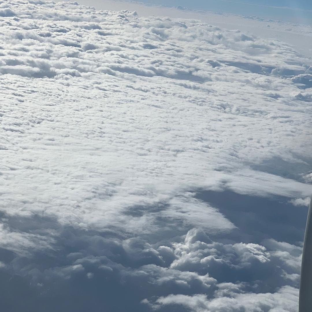613869748