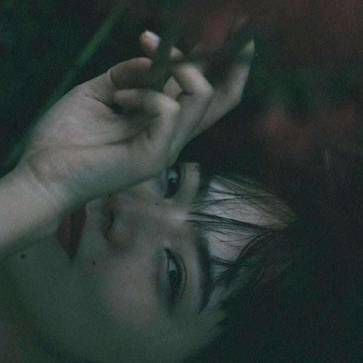 胆小冒险家