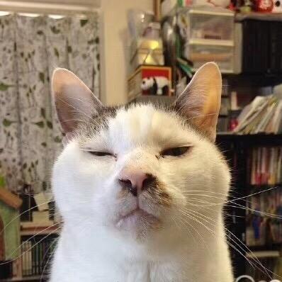 勇勇好猛🇨🇳⚽💨