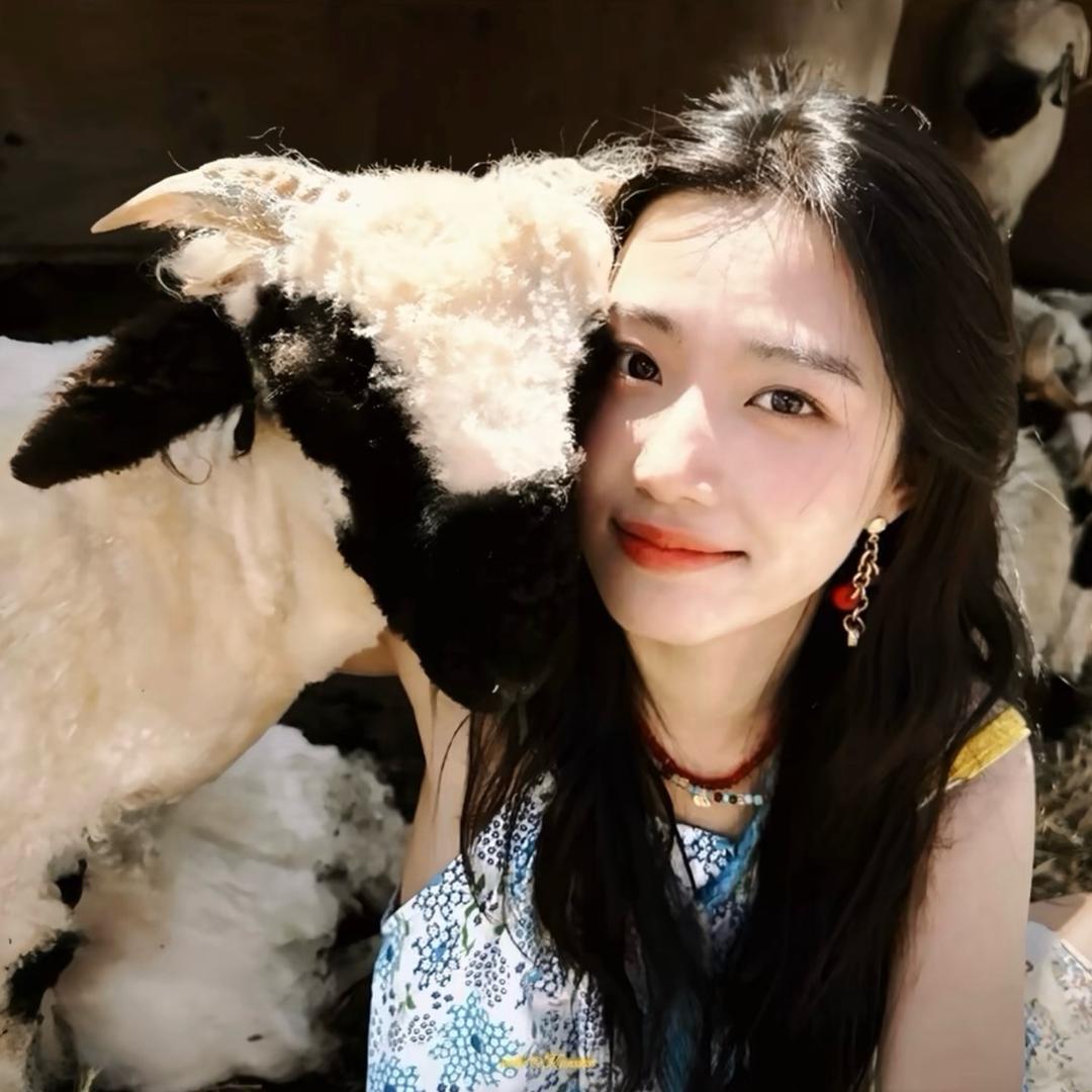 咩咩羊🐑