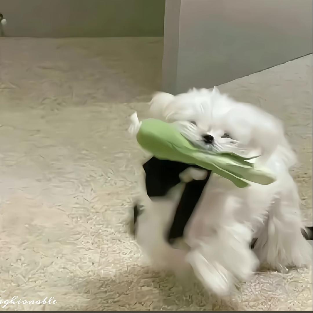 啊diu～
