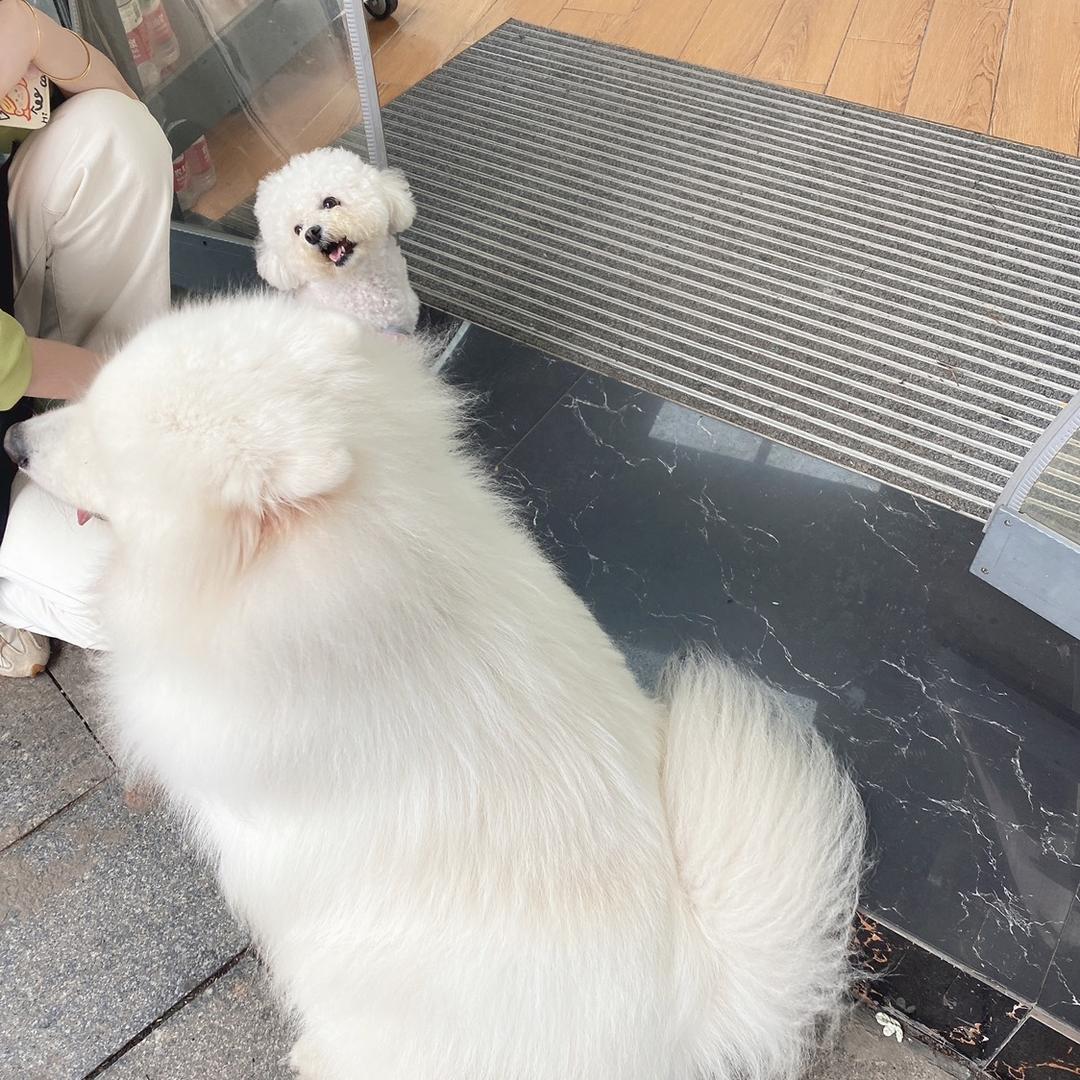 大momo和小lucky