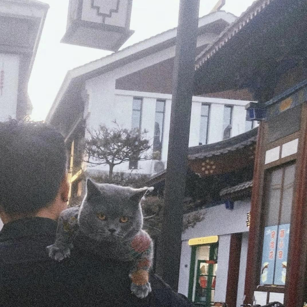 小白_