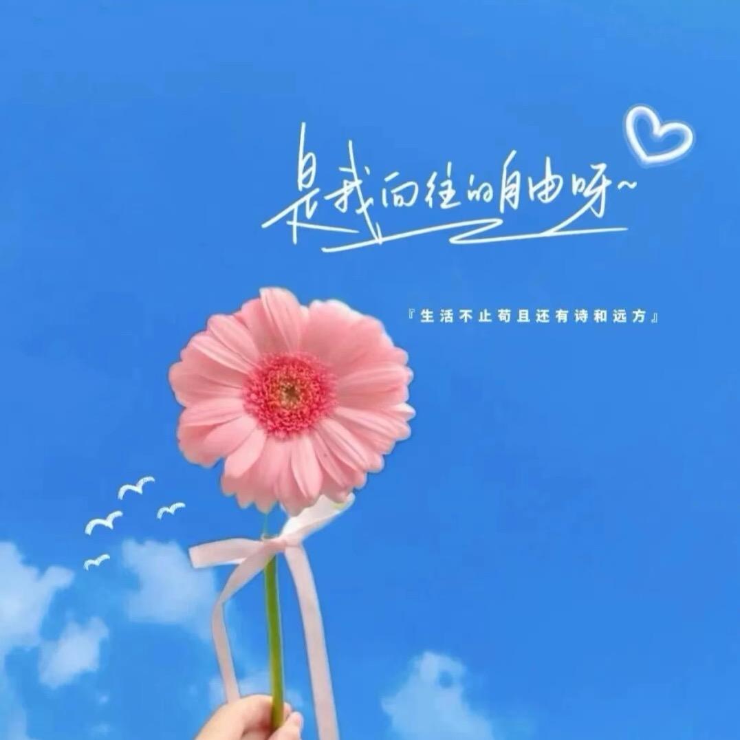 💐娟娟¹⁹⁹⁴