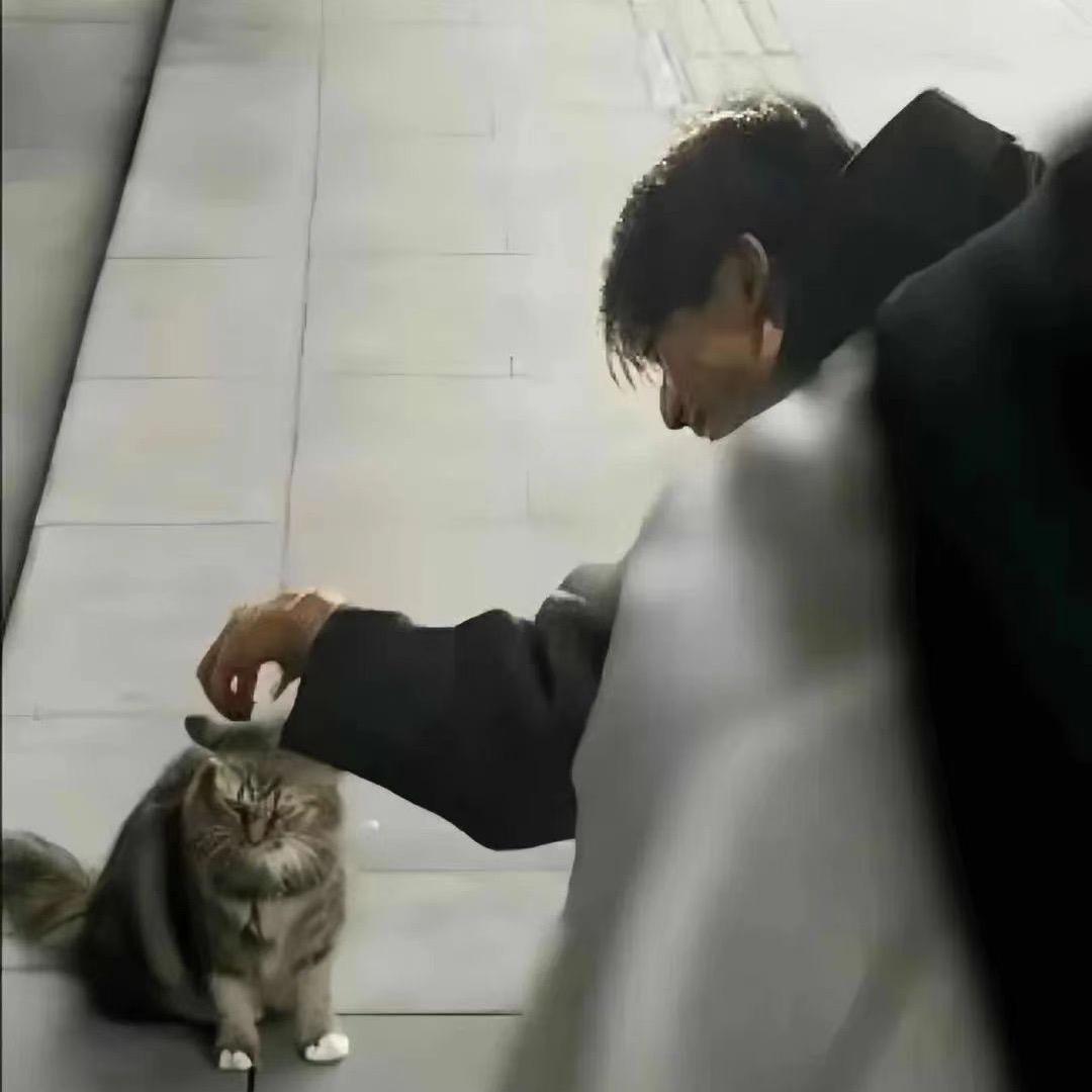 冉冉努力中